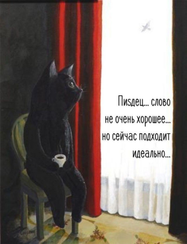В шафутинов день, но без него