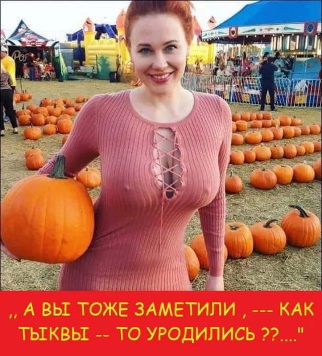 Так себе картинки 25.09.26