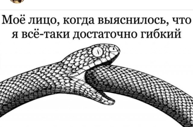 Аккордеоны