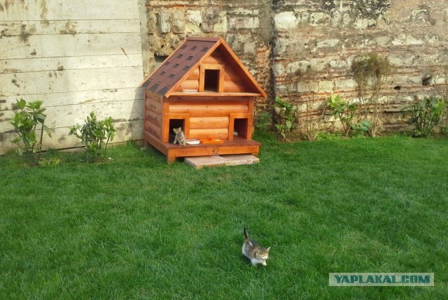 Домик для котэ