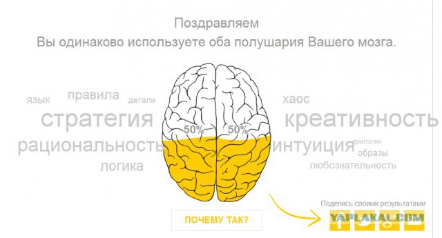 Тест - Левое или Правое.