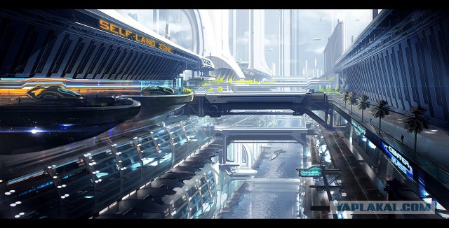 Star Citizen