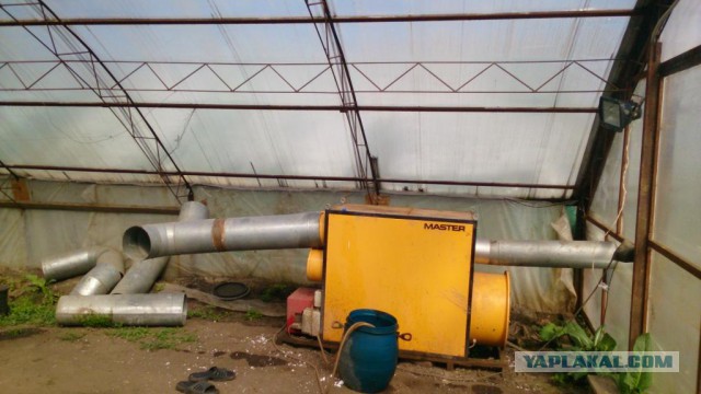 Любителям зелени 2