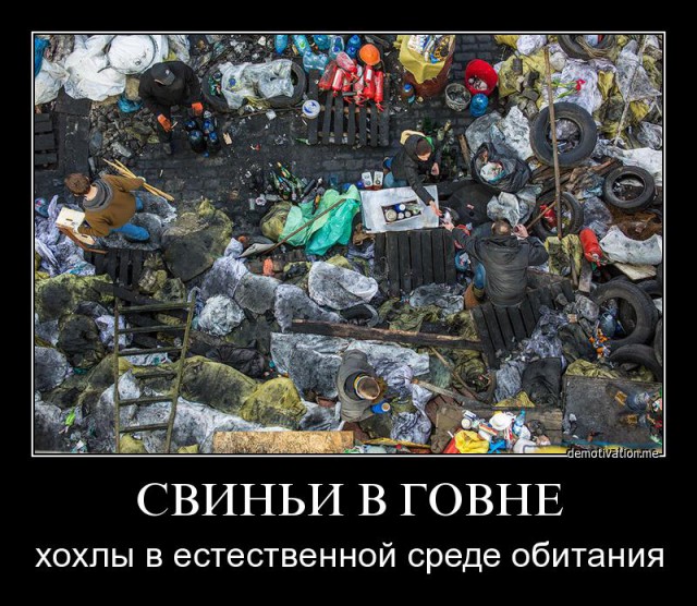 На Майдане посадили огород и строят свинарник.