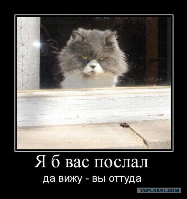 С миру по нитке. Демотиваторов чуть