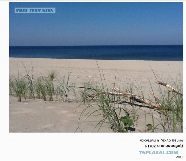 Жара. Город. 40 минут. Море.