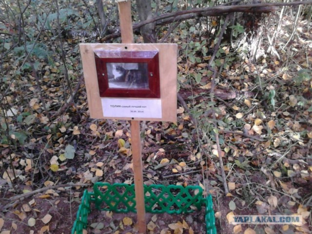 Кладбище домашних животных.