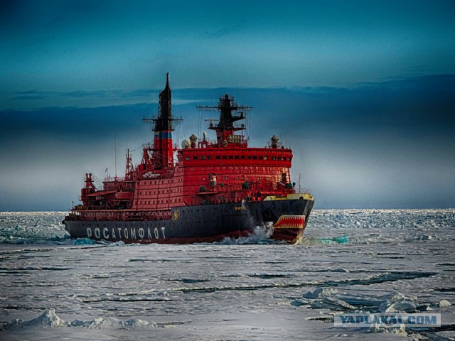 Вернулся с Северного полюса