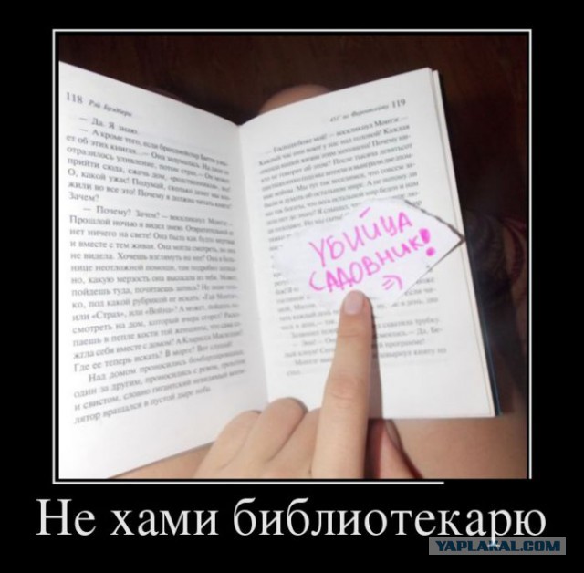 Забавные картинки из интернетов