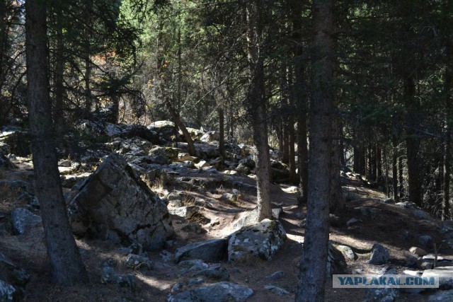 Деревенская Америка