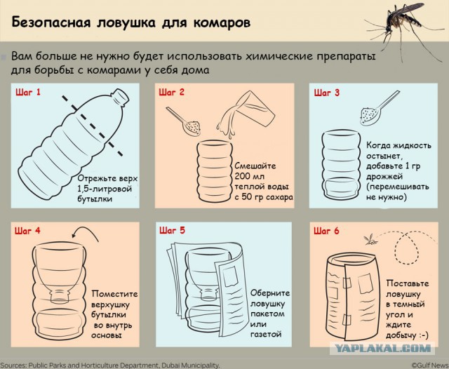 Прудик на участке перед домом