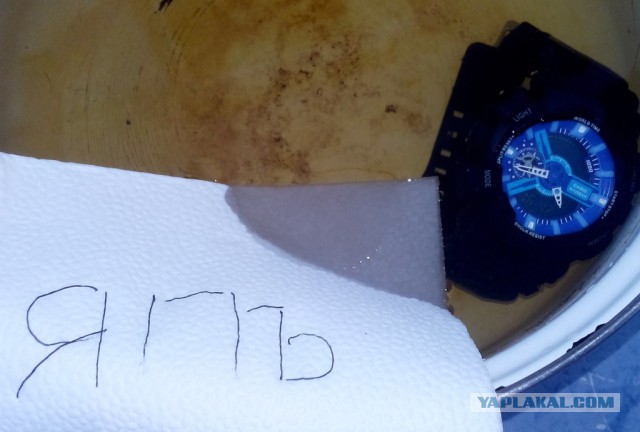 Apple Watch после 2 месяцев использования