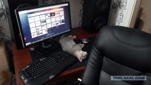 Рабочие места руководителей крупных IT компаний