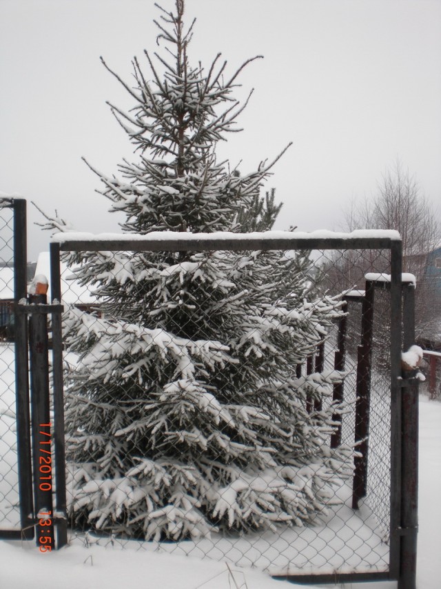 Фотопроект Best of Russia 2012