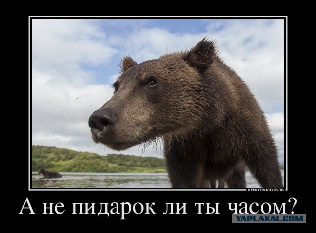 Камчатский дневник: жизнь в клетке
