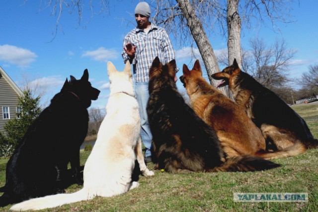 Детские шалости с недетскими последствиями
