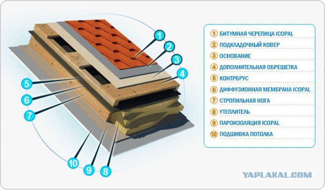 Внезапная строка моей жизни
