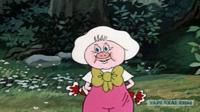 Мясо которое растет не на деревьях