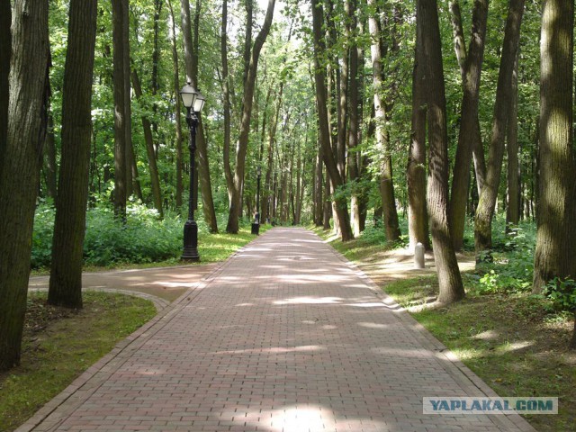 Прогулка по курганам Вятичей и языческому капищу в Царицыно