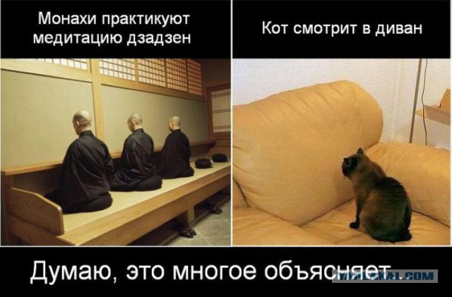 Для Поднятия Настроения 11