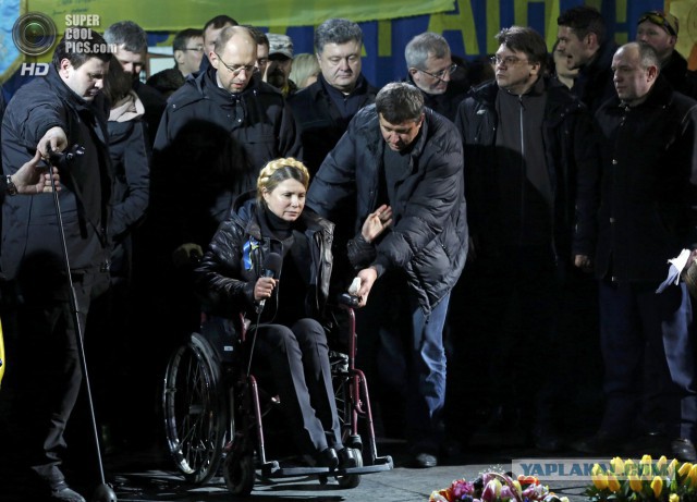 В соцсетях высмеяли новый гламурный образ Тимошенко