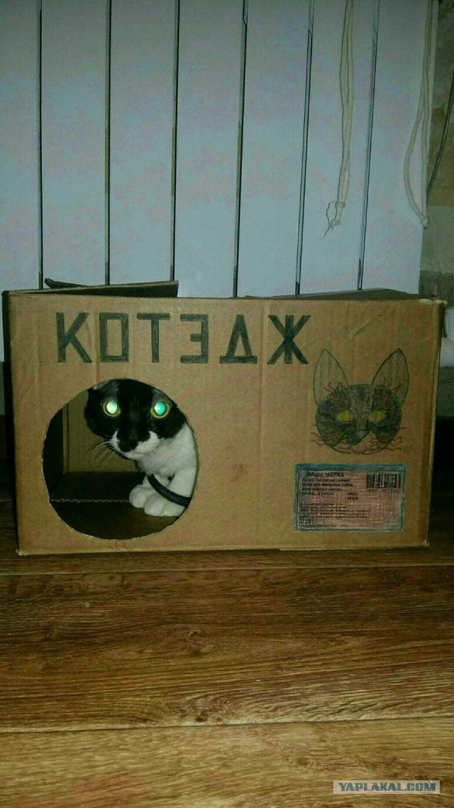 Улыбнемся во вторник