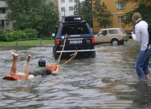 Подборка безудержного веселья