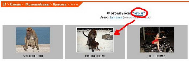 Подборка интересных и веселых картинок
