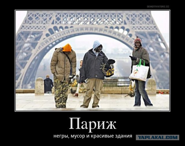«Ты должна помочь брату! Давай, привози деньги. И какую ты там расписку у нотариуса выдумала?»