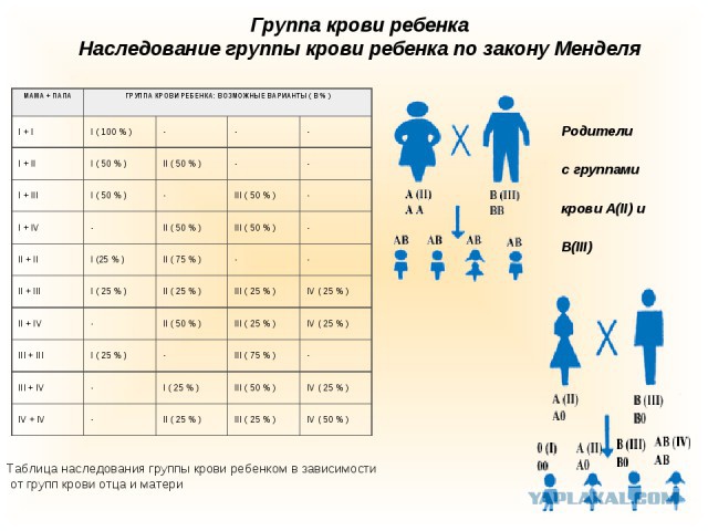 Группа крови на... свидетельстве о рождении