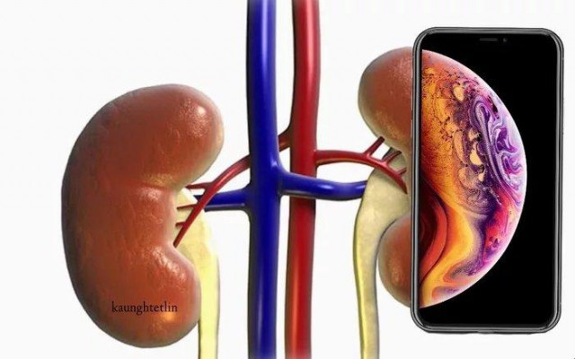 Apple представила три новейших модели iPhone