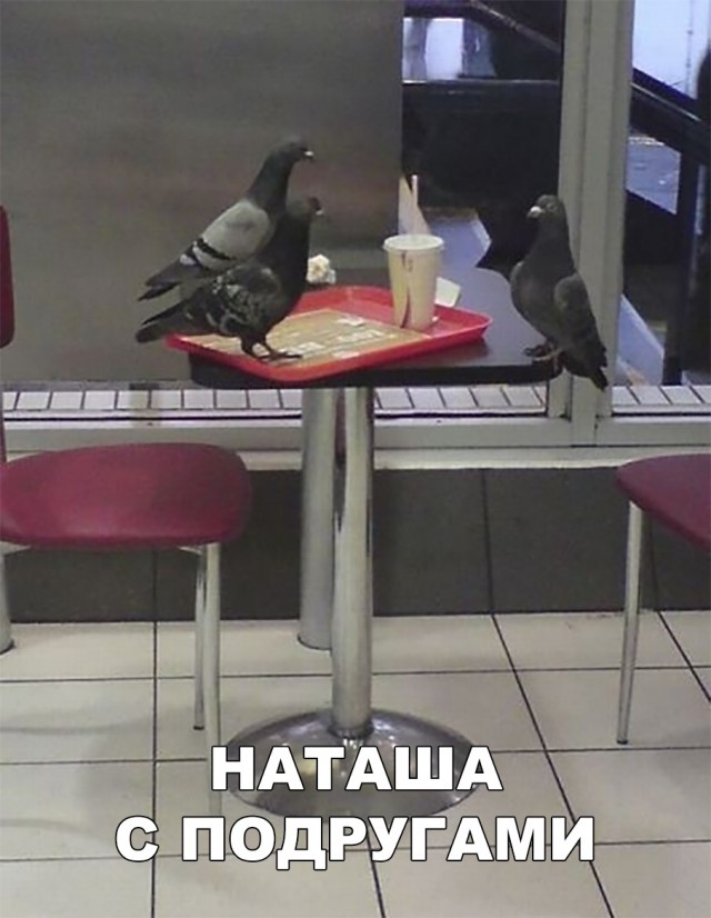 Нестандартный юмор
