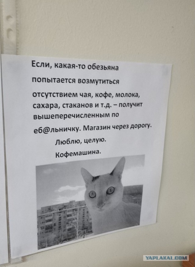 На стене написано