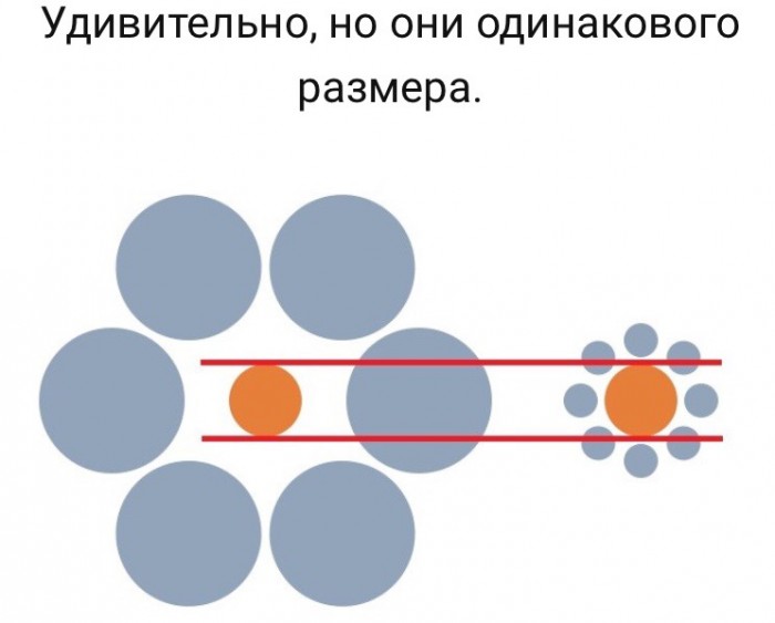 Лучшие оптические иллюзии