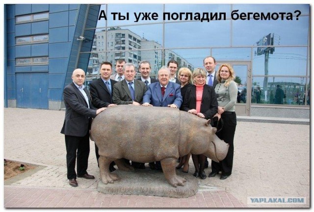 Церители минималист