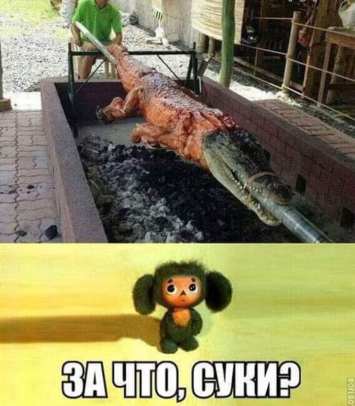 Бредзона 12.12.2019
