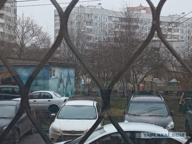 Цена российского газа в Европе рухнула до минимума за 15 лет