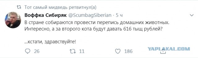 Бредзона 27.01.2020