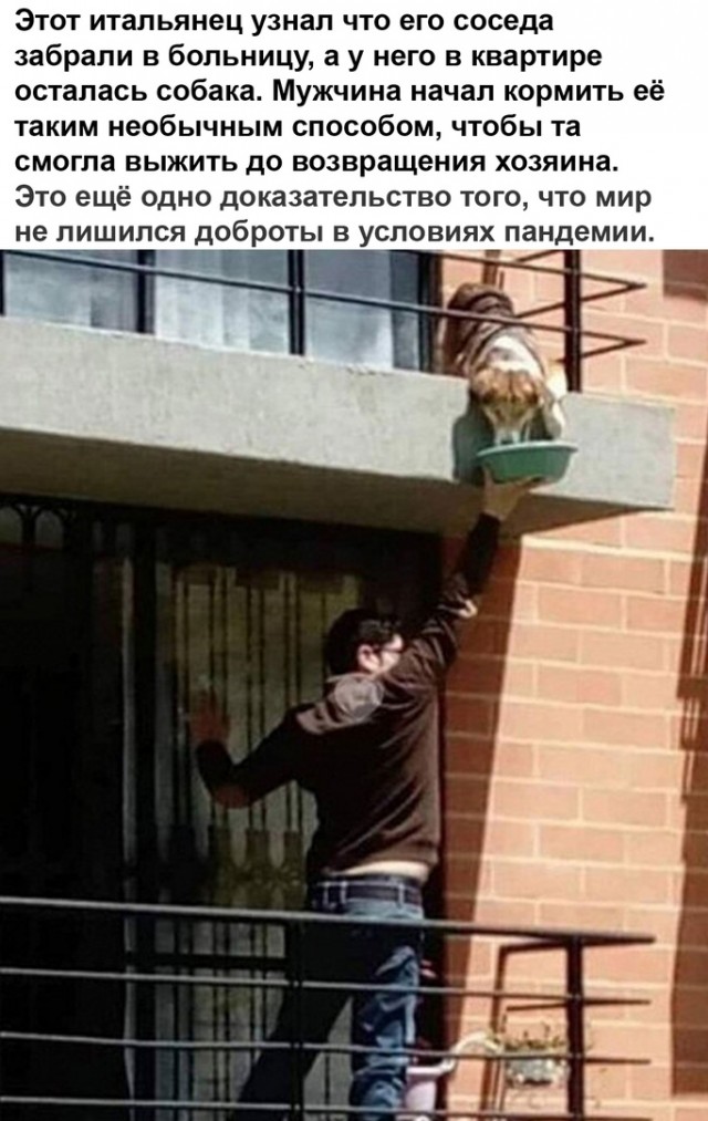 Чуток картинок. Ночные 7