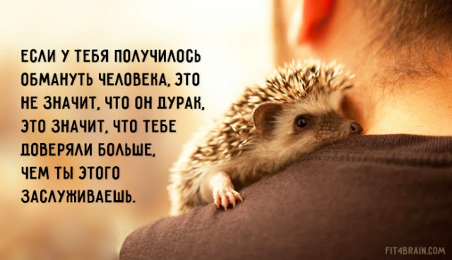 Мимишный ёжик