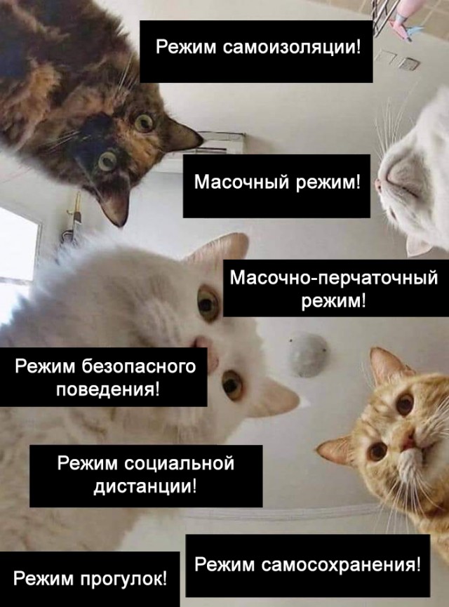 Опубликована карта с графиком прогулок в Москве