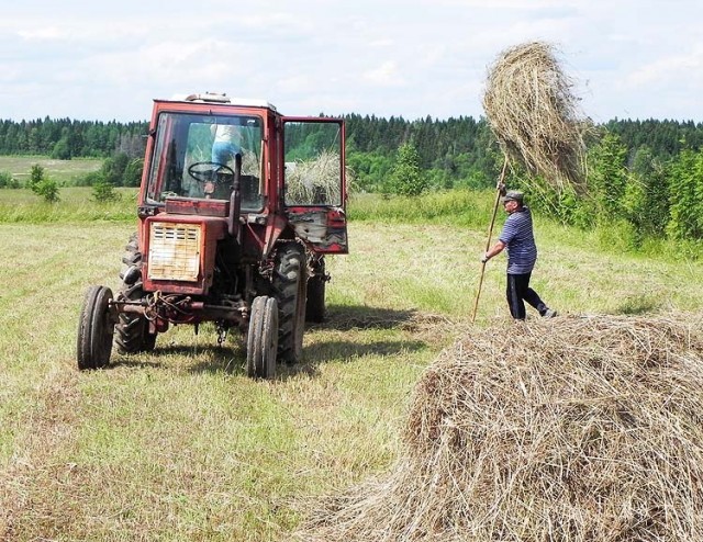 А Вы вспоминаете летние каникулы у бабушки?