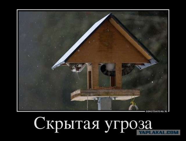 Про "спонтанный выход на улицы"