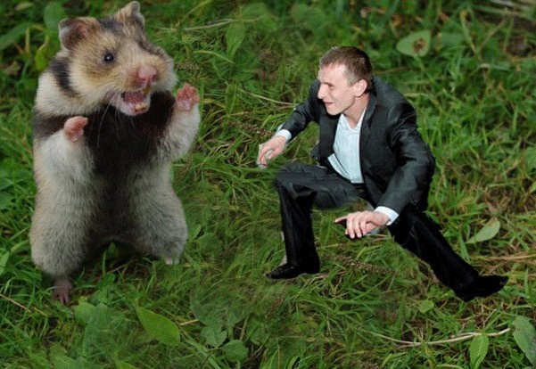 Сдаюсь!