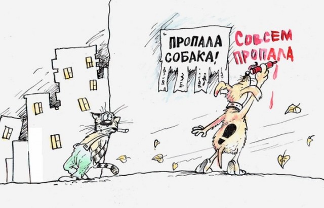 С котопятницей! Улыбнемся?