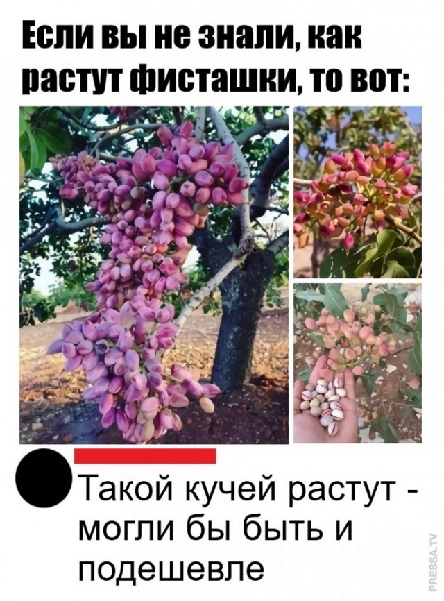 Картинки и мемы для настроения 028