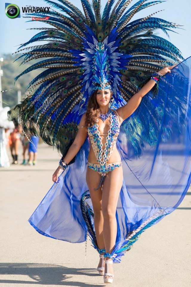 Карнавальных птичек пост