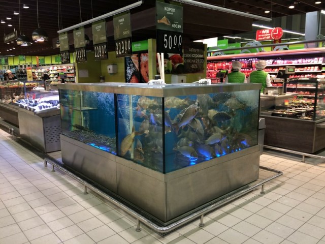 Закрытие сезона