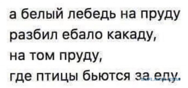 Никакой политоты. Просто белый лебедь на пруду