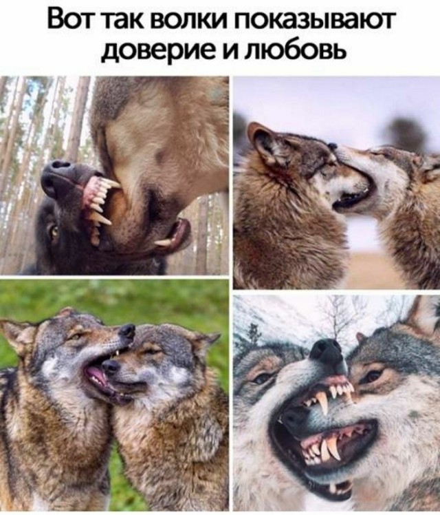 Картинки с надписями и всякие жизненные фразы